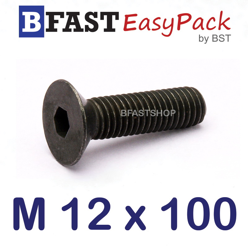 สกรูหัวจมเตเปอร์ดำ M 12 x 100