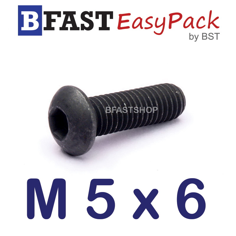 สกรูจมกลมดำ M 5 x 6 (12 ตัว/ถุง)