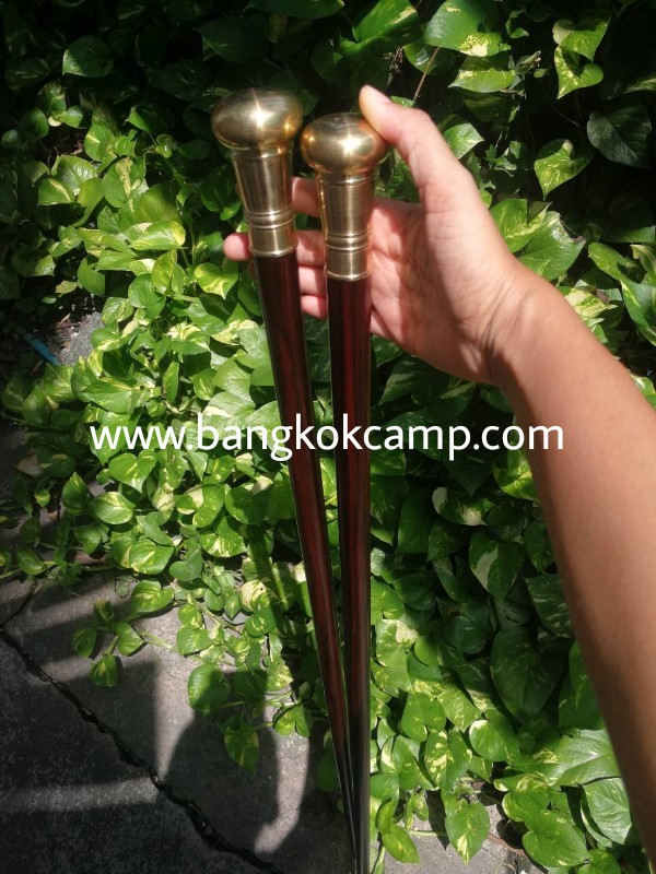 ไม้มงคลหายาก... ไม้ตะพด (ไม้มะริดแดง) หัวทองเหลือง