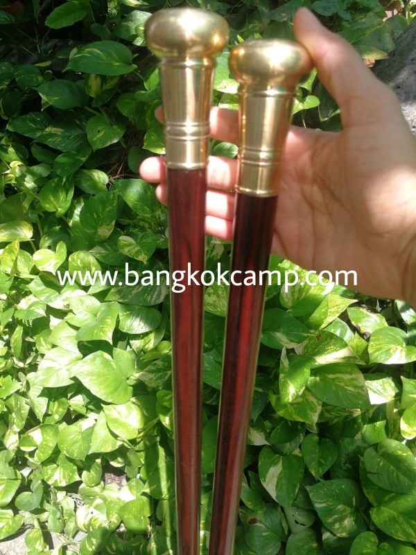 ไม้มงคลหายาก... ไม้ตะพด (ไม้มะริดแดง) หัวทองเหลือง