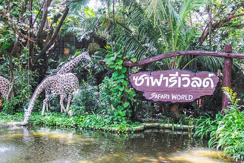 ขาย / ให้เช่าทาวน์โฮม 2 ชั้น โครงการ พลีโน่ วงแหวน-รามอินทรา Pleno Wongwaen-Ramintra 3 ห้องนอน 2 ห้องน้ำ ขนาด 29.9 ตรว