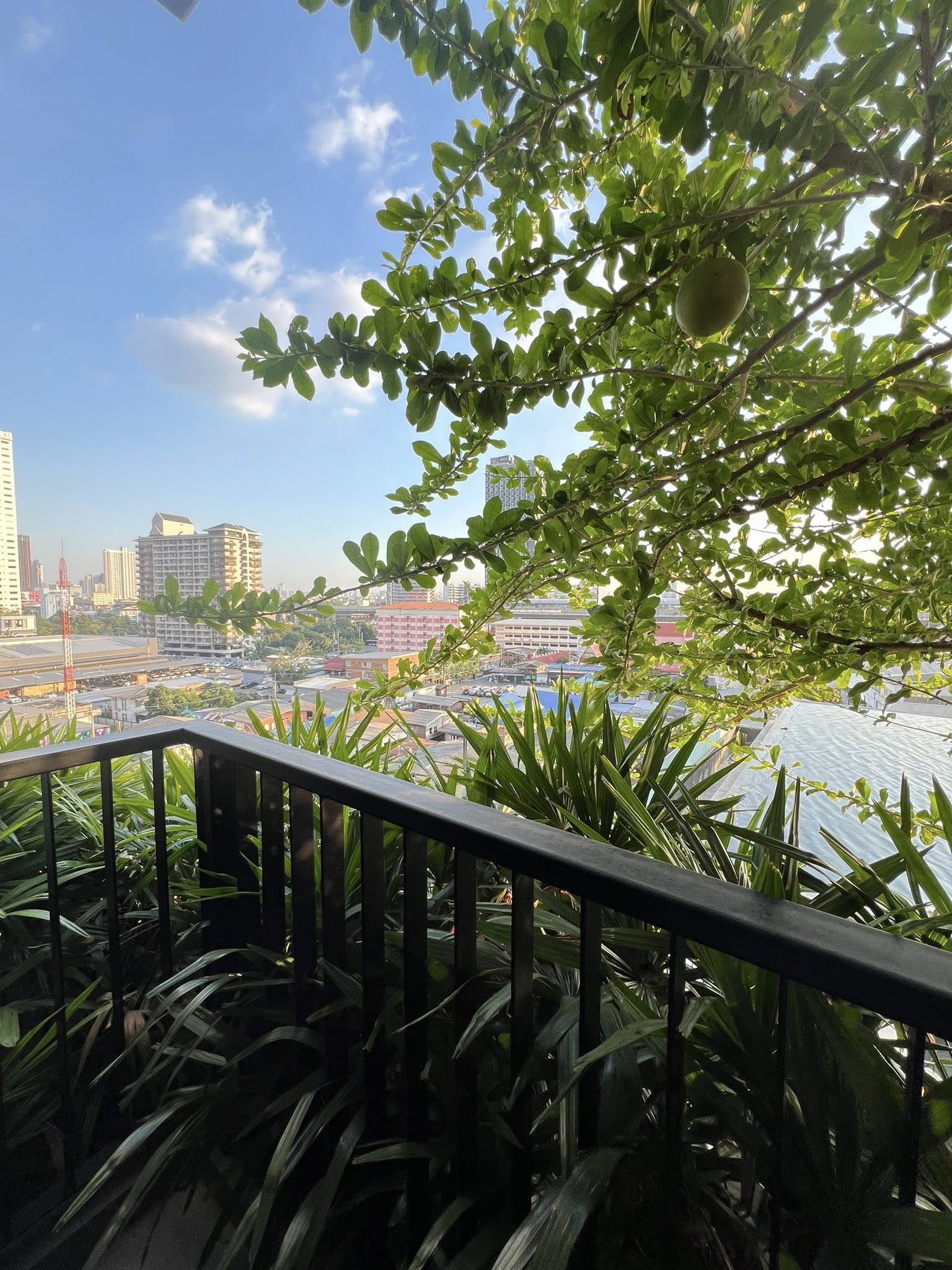 ให้เช่าคอนโด Politan Live โพลิแทน ไลฟ์ (ติดแม่น้ำเจ้าพระยา) / For Rent Politan Live (English below)