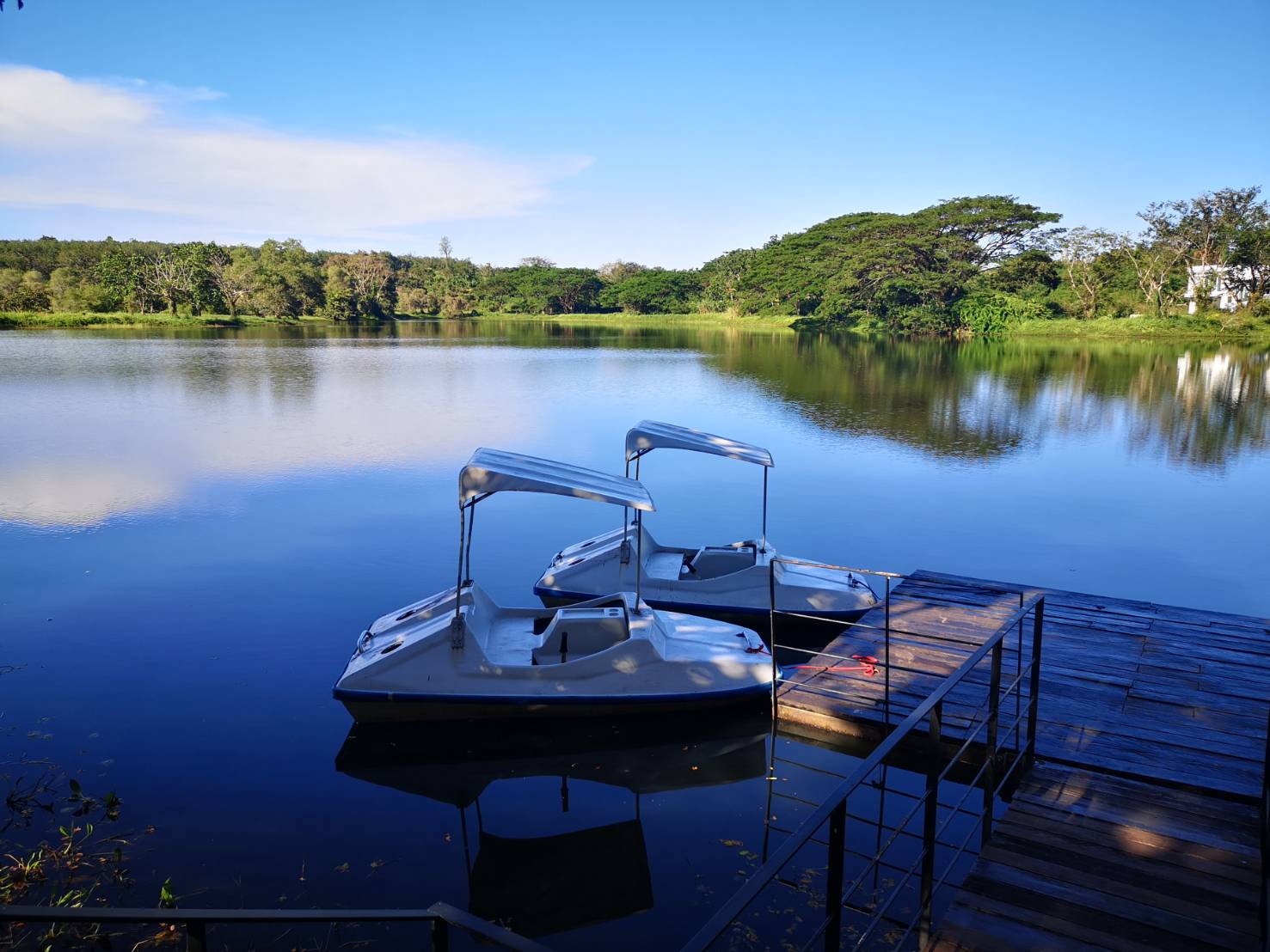 ขายที่ดินจัดสรรแบ่งขายในโครงการ แรบบิซ ฮิลส์ รีสอร์ท (Rabbiz Hill Resort) อำเภอ แก่งหางแมว, จังหวัดจันทบุรี