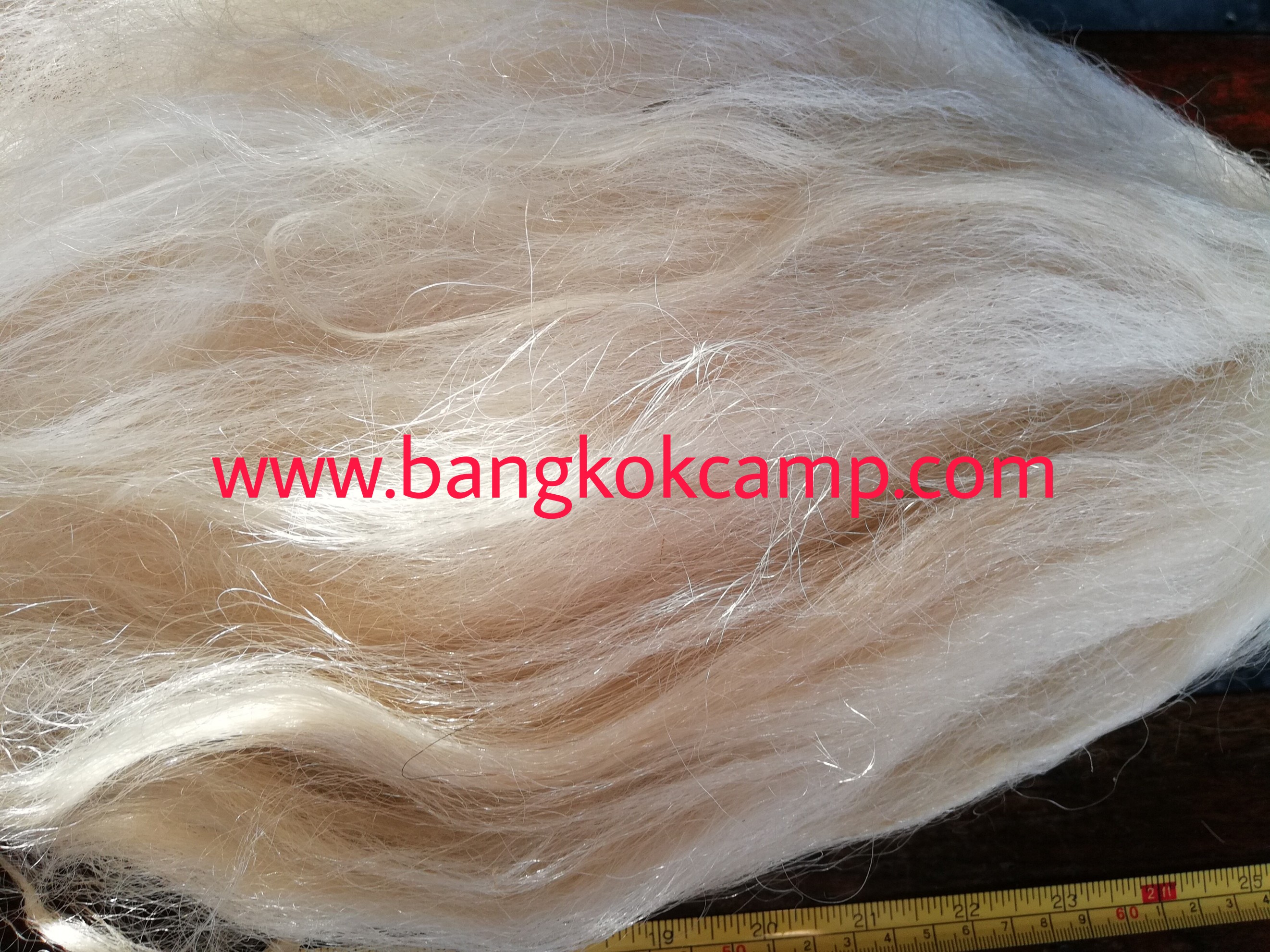 แส้ขนจามรีแท้ ด้ามหนัง​ ใหม่เก่าเก็บ ไม่ผ่านการใช้ (1) ขนสีขาว หายาก