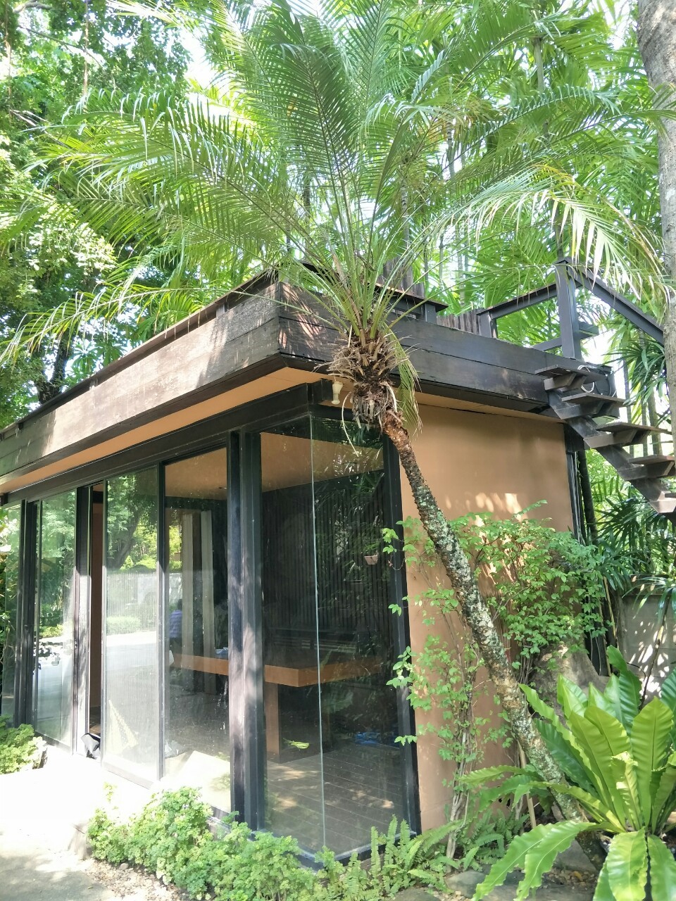 ขายเดี่ยวสไตล์สวนป่าธรรมชาติผลงานการจัดสวนอันทรงคุณค่าชิ้นสุดท้ายของนักจัดสวนมือหนึ่งของประเทศไทย คุณพิชัย จิโรภาส บ้านสวนสไตล์รีสอร์ท