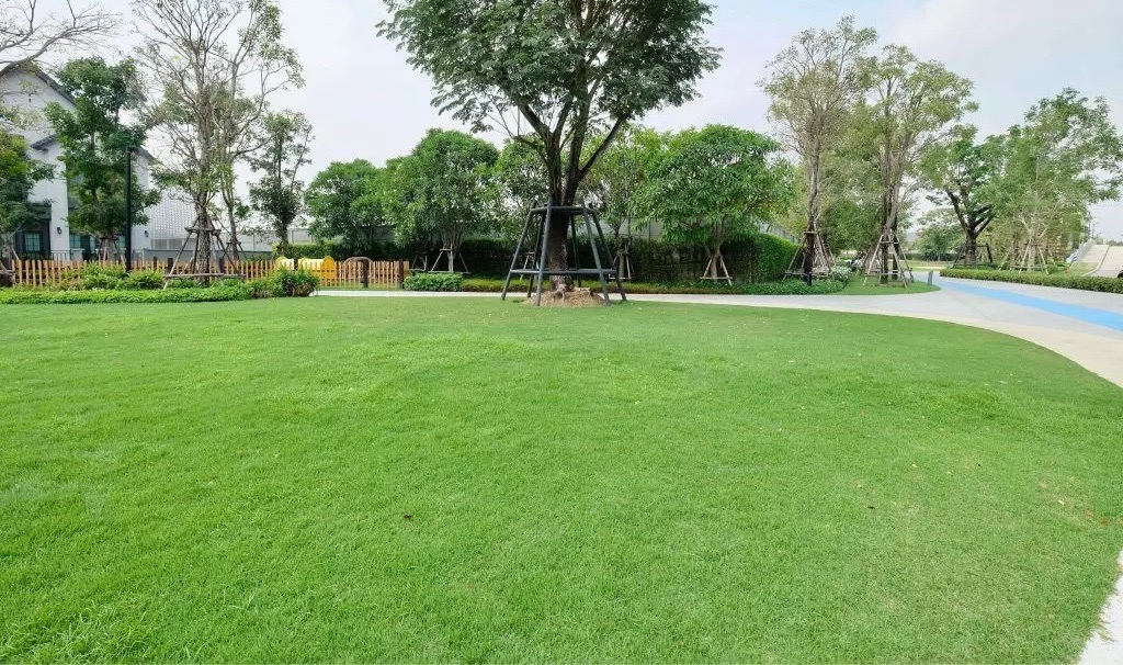 ให้เช่าบ้านหรู 2 ชั้น Centro Bangna ใกล้เมกะบางนา เพียง 1 กม. – ยินดีต้อนรับสัตว์เลี้ยง พร้อมอยู่!