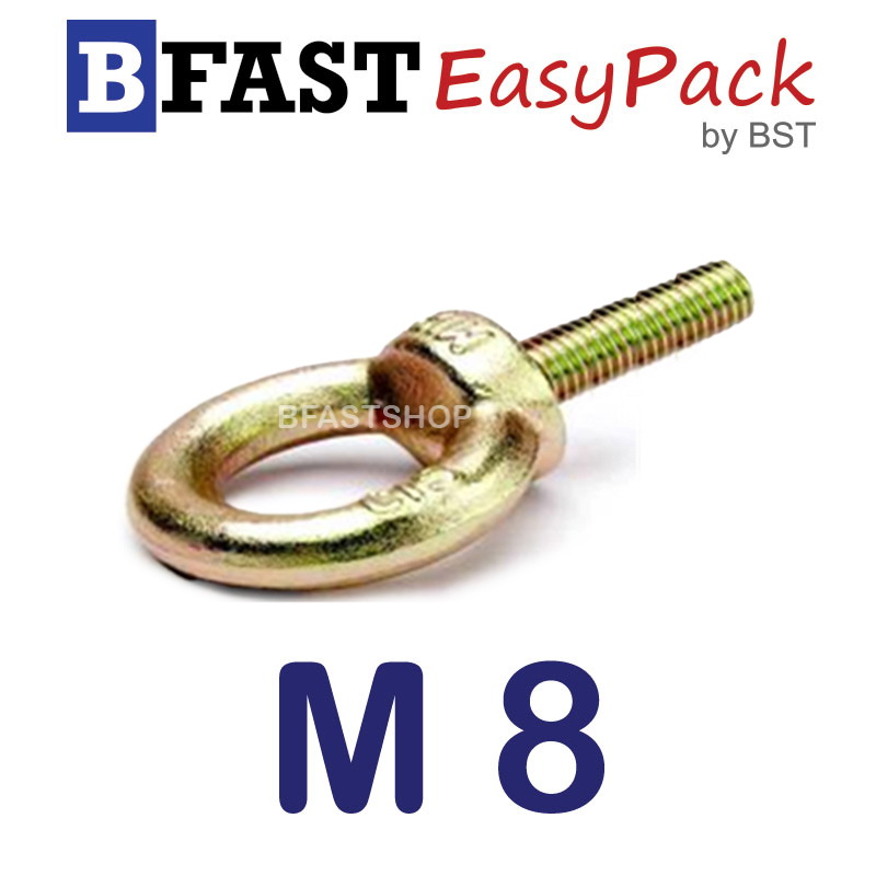 อายโบลท์ รุ่นยาว M8 x 50 P1.25 (1 ตัว/ถุง)