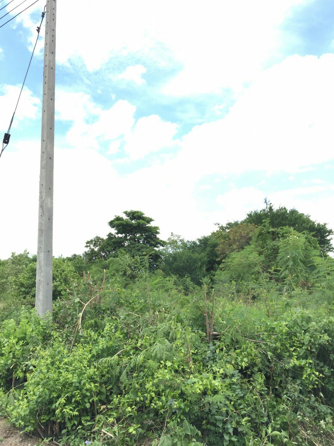 รหัสทรัพย์ 87582 ขายที่ดิน 2 แปลงจังหวัดนครปฐม 2 แปลงติดกัน