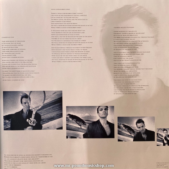 Sting - The Dream Of The Blue Turtles