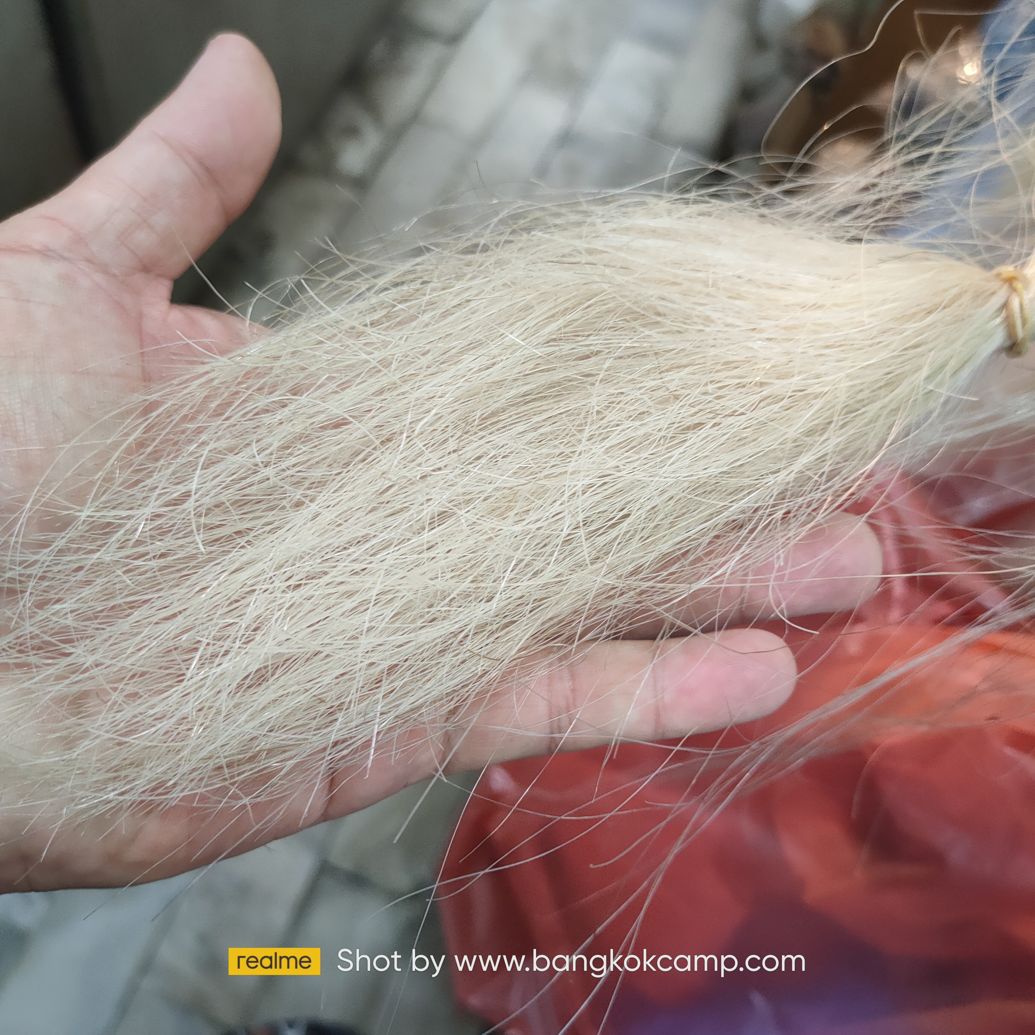 แส้ขนจามรีแท้ ด้ามไม้ ใหม่เก่าเก็บ ไม่ผ่านการใช้