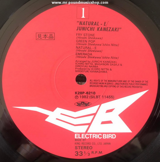 Junichi Kanezaki (兼崎順) - Natural-E