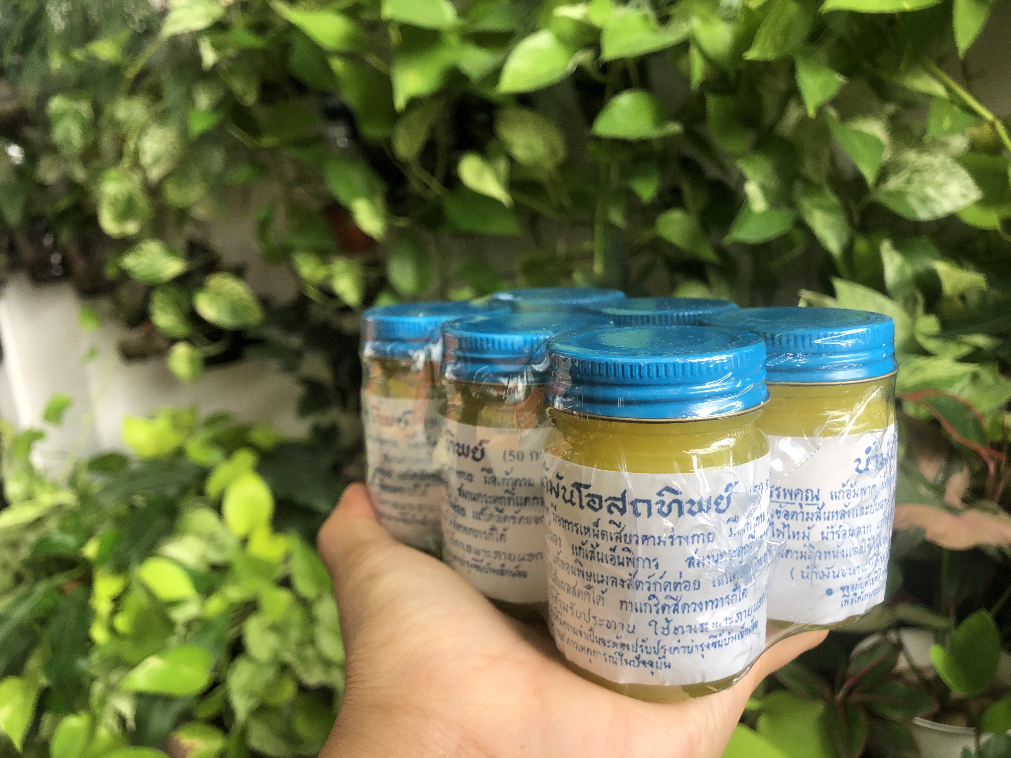 น้ำมันโอสถทิพย์ (ตำรับวัดโพธิ์) สีเหลือง (เล็ก)50g.