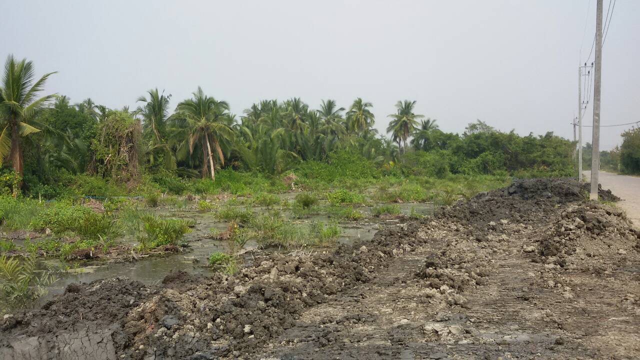 ขายที่ดินเปล่าปากทางเข้า มหาชัย พื้นที่ 80 ไร่ ขายไร่ละ 4.0 ล้าน ติดถนนพระราม ๒