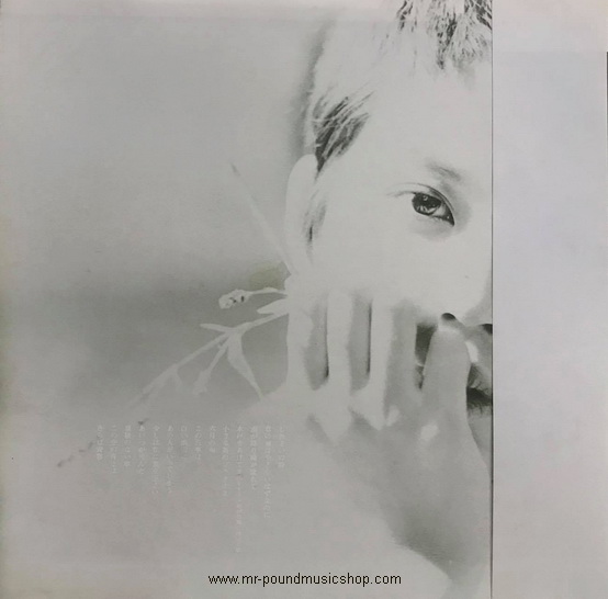 Kei Ogura - Wandering