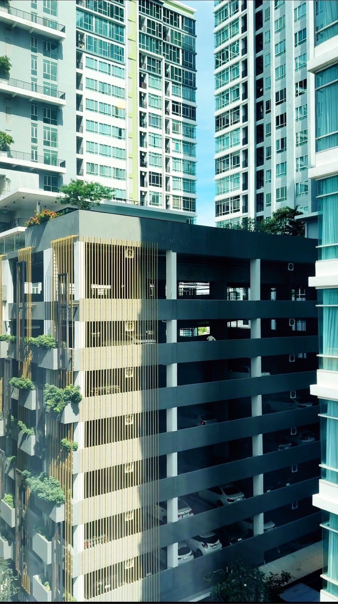 ðĒ āđāļŦāđāđāļāđāļē! āļŦāđāļāļāđāļŦāļĄāđāļāļĢāļīāļāļāļāļāđāļ The Sky Sukhumvit (āđāļāļāļ° āļŠāļāļēāļĒ āļŠāļļāļāļļāļĄāļ§āļīāļ) 1 āļŦāđāļāļāļāļāļ āļāļĢāđāļāļĄāđāļāđāļēāļāļĒāļđāđāđāļāđāļāļąāļāļāļĩ