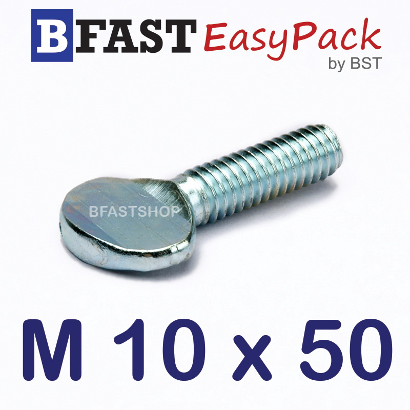 สกรูหางปลาแบน M10 x 50 (2 ตัว/ถุง)