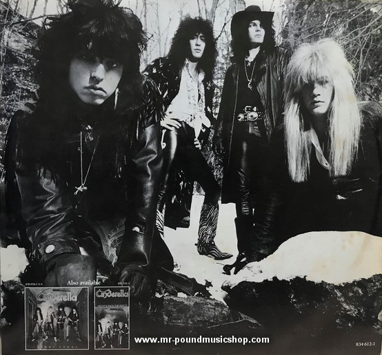 Cinderella - Long Cold Winter