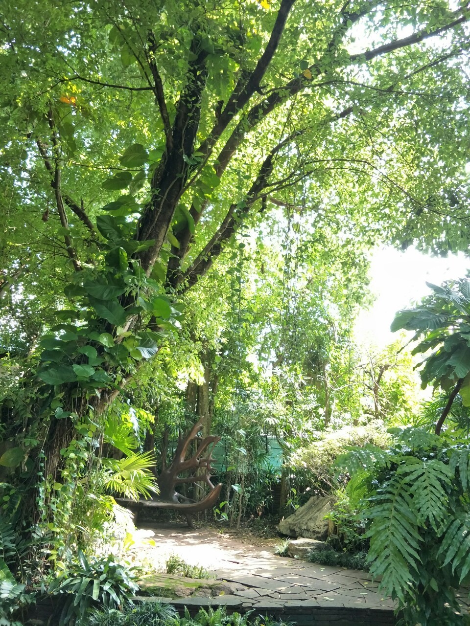 ขายเดี่ยวสไตล์สวนป่าธรรมชาติผลงานการจัดสวนอันทรงคุณค่าชิ้นสุดท้ายของนักจัดสวนมือหนึ่งของประเทศไทย คุณพิชัย จิโรภาส บ้านสวนสไตล์รีสอร์ท