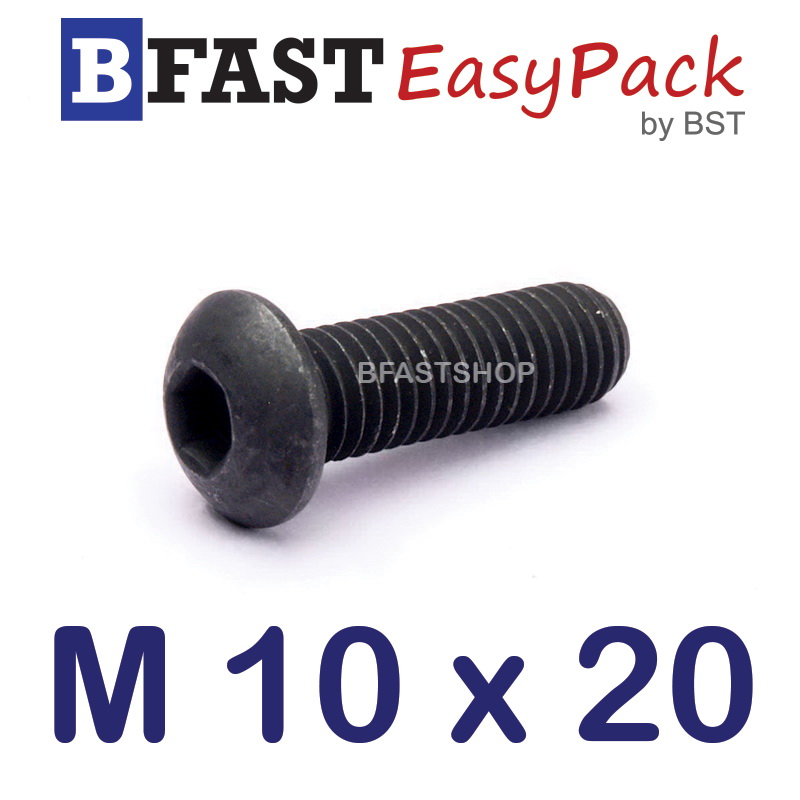 สกรูจมกลมดำ M 10 x 20 (5 ตัว/ถุง)
