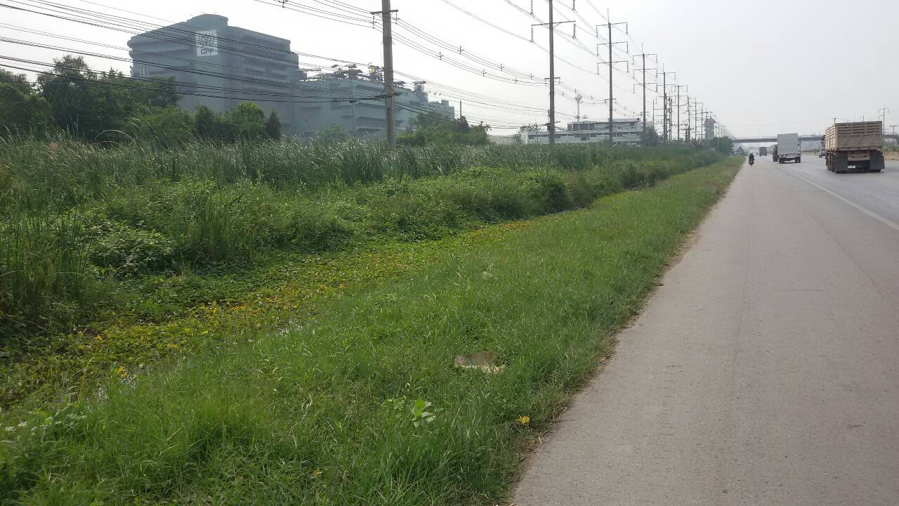 ขายที่ดินเปล่าปากทางเข้า มหาชัย พื้นที่ 91 ไร่ ขายไร่ละ 2.3 ล้าน ติดถนนพระราม ๒