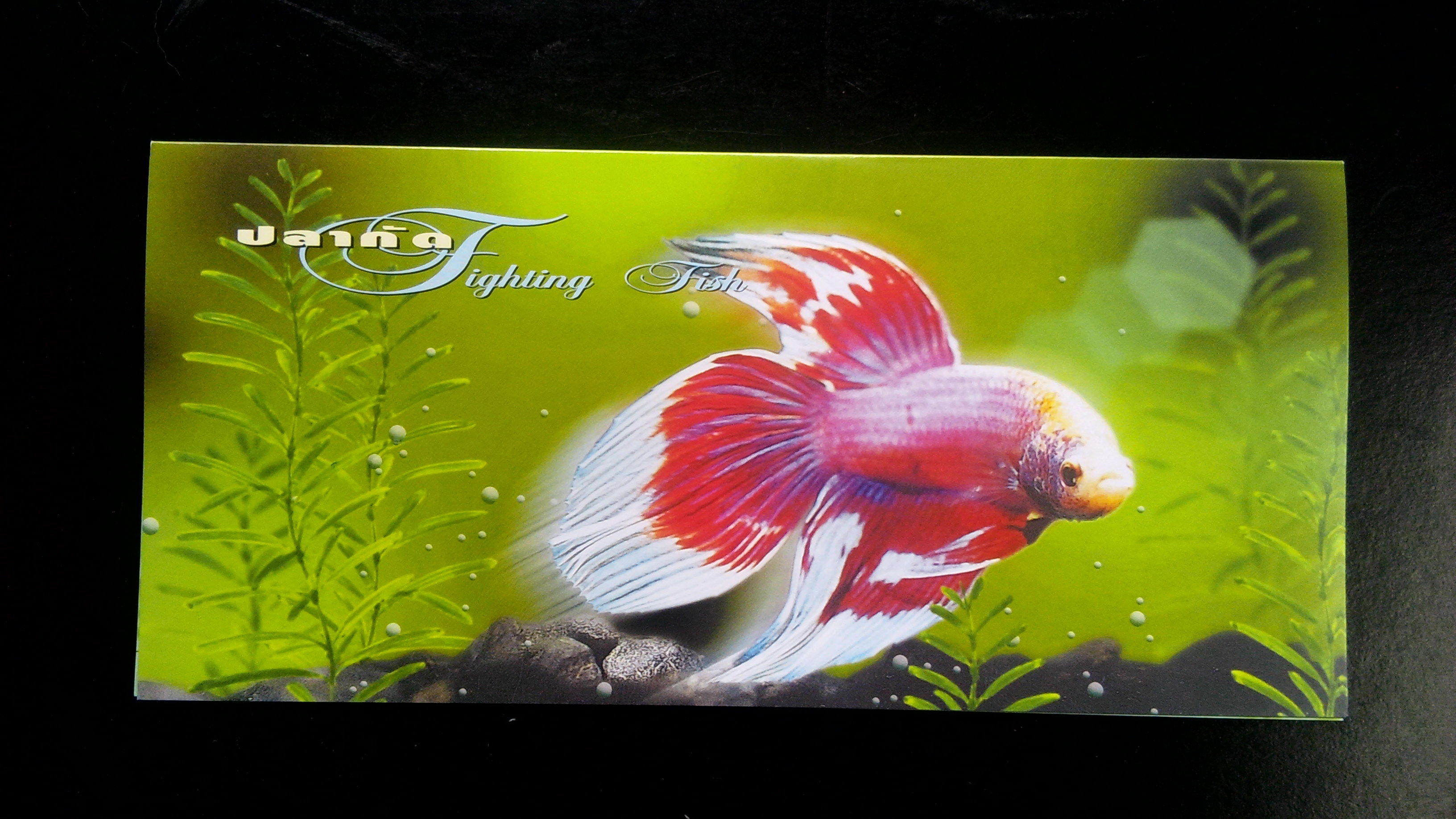 บัตรที่ระลึก ชุดปลากัด + ลายเซ็นต์ผู้ออกแบบ