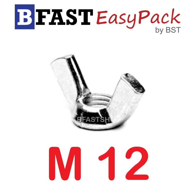 หัวน๊อตหางปลาสแตนเลส M12 ( 1 ตัว/ถุง)