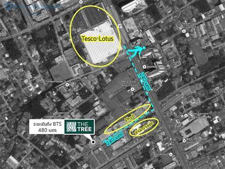 ให้เช่าคอนโด The Tree Onnut Station (เดอะทรี อ่อนนุช สเตชั่น สุขุมวิท 54 ) 1 ห้องนอน 1 ห้องน้ำ