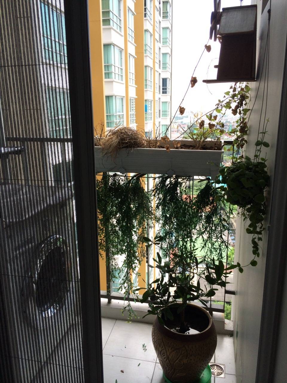 ขาย คอนโด U-delight@Huai kwang พร้อมอยู่ Fully Furnished ราคา 3.8 ล้าน ค่าโอนคนละครึ่ง 1 Bedroom : พื้นที่ 43 ตร.ม.ห้องทิศตะวันออก ตึก C, ชั้น 14, ห้องมุม