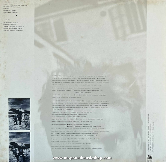 Sting - The Dream Of The Blue Turtles