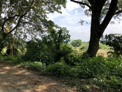 ขายที่ดินเชียงรายติดริมแม่น้ำ กก ราคาถูกมาก มี 2 แปลง อยู่ตำบล ริมกก อ เมือง จ เชียงราย ใกล้ ตรงข้ามโบราณสถาน