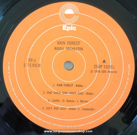 Biddu Orchestra - Rain Forest