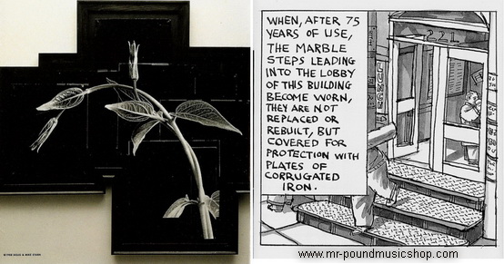 R.E.M. - Out of Time