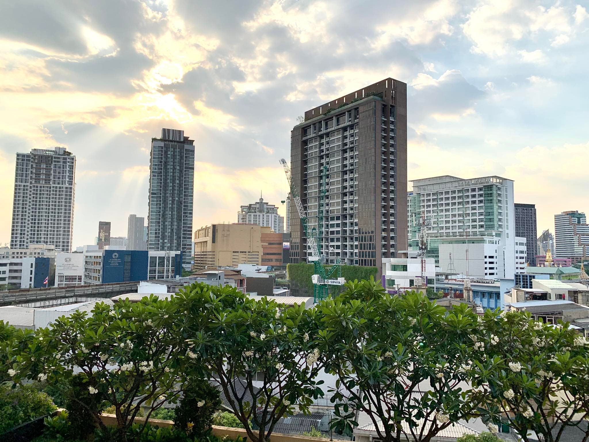 ให้เช่า Life @ Sukhumvit 65 (ไลฟ์ แอท สุขุมวิท 65) 1 ห้องนอน 1 ห้องน้ำ ชั้น 17 ขนาด 32 ตรม เฟอร์นิเจอร์ครบ