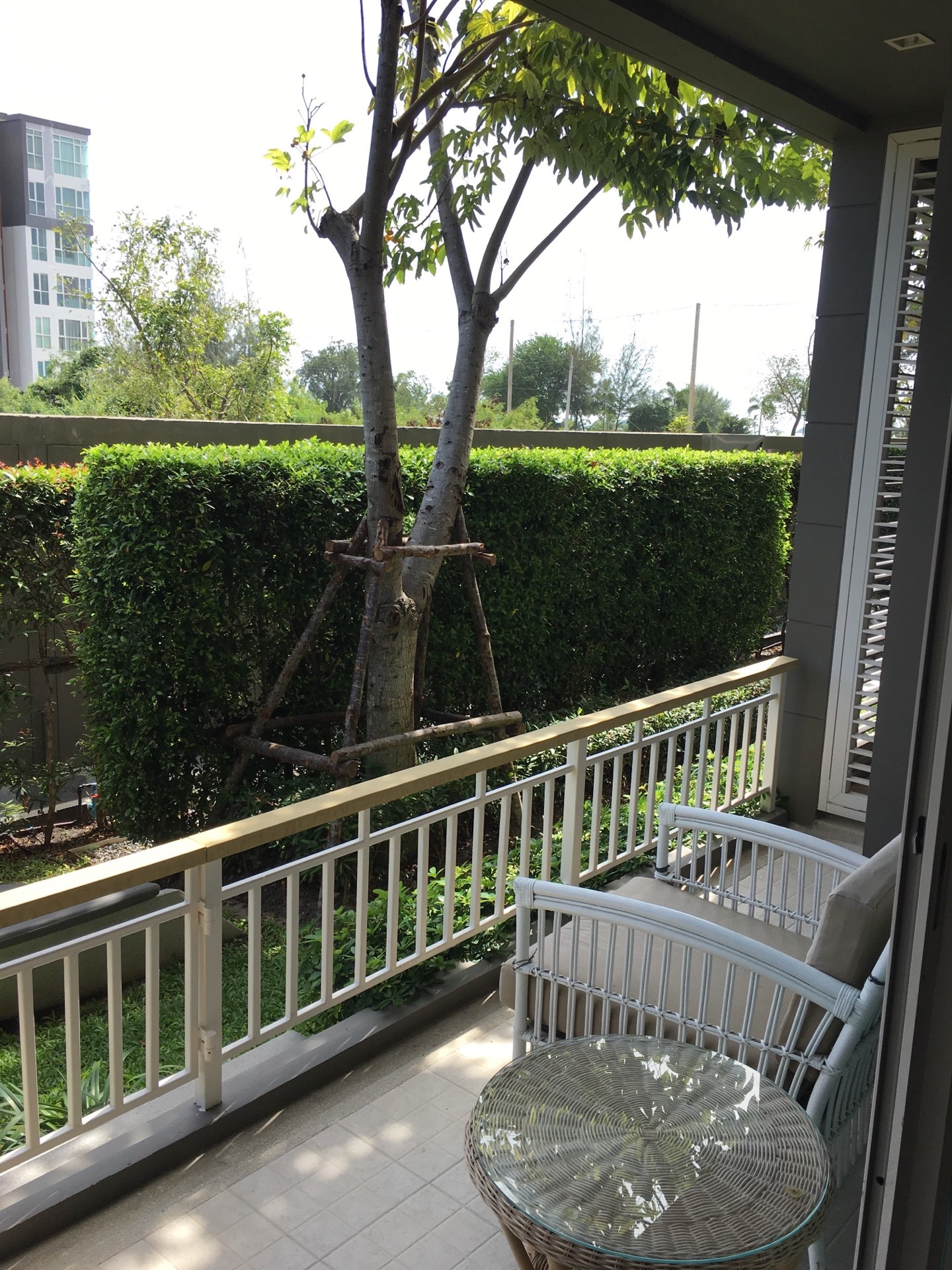 ขาย / เช่าคอนโด Autumn Hua Hin (ออทัมน์ หัวหิน) 1 ห้องนอน 1 ห้องน้ำ ขนาด 41.47 ตรม ชั้น 1 อาคาร บี