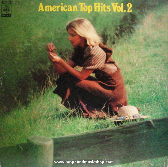 Various Artists - American Top Hits Vol.2