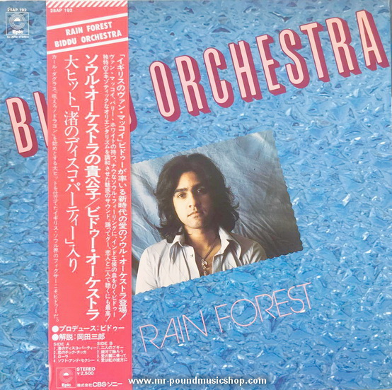 Biddu Orchestra - Rain Forest