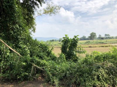 ขายที่ดินเชียงรายติดริมแม่น้ำ กก ราคาถูกมาก มี 2 แปลง อยู่ตำบล ริมกก อ เมือง จ เชียงราย ใกล้ ตรงข้ามโบราณสถาน