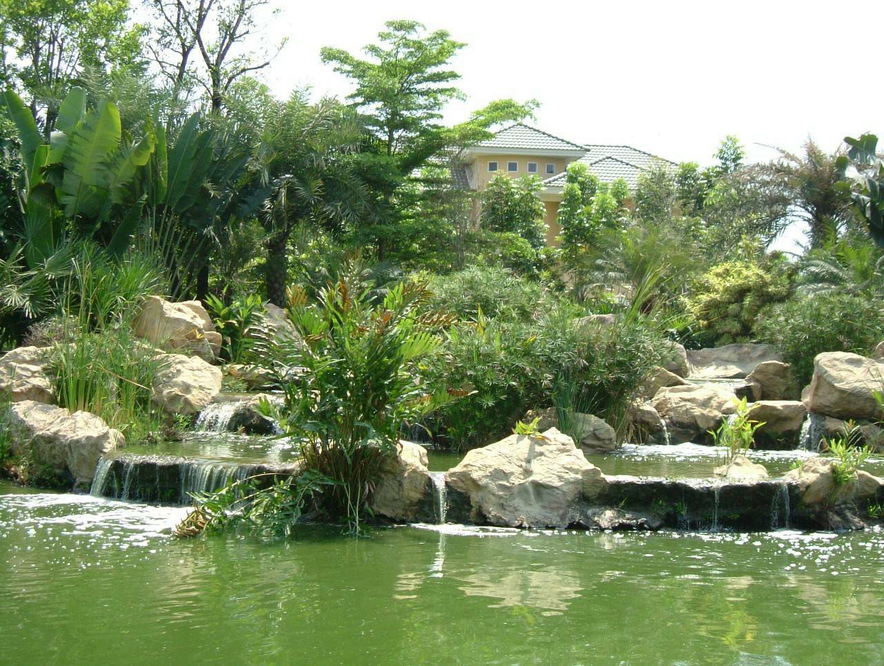 ขาย / เช่า บ้านโกลเด้น นครา (Golden Nakara) บ้านเดี่ยว 2 ชั้น fully furnished แอร์ทั้งหลัง