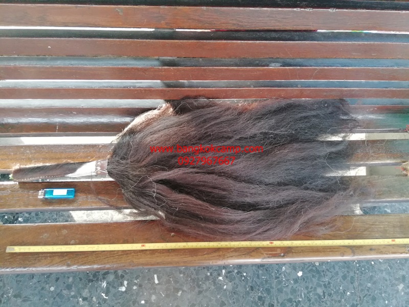 แส้ขนจามรีแท้ ด้ามหนัง​ ใหม่เก่าเก็บ ไม่ผ่านการใช้ (2) ขนสีดำ หายาก