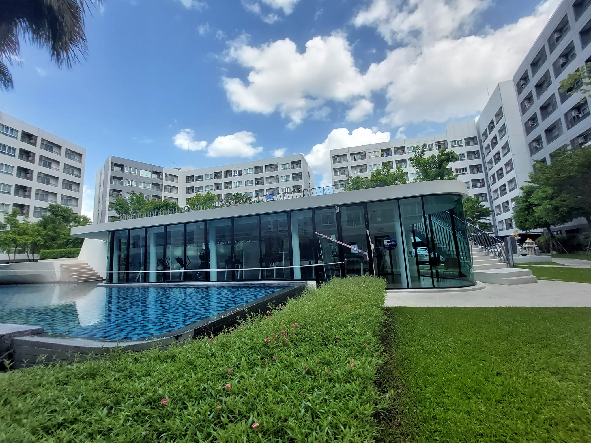 ให้เช่าคอนโด ELIO DEL RAY Sukhumvit 64 เอลลิโอ เดล เรย์ สุขุมวิท 64 คอนโดสไต์รีสอร์ท 1 ห้องนอน 1 ห้องครัว (แยกครัวชัดเจน)