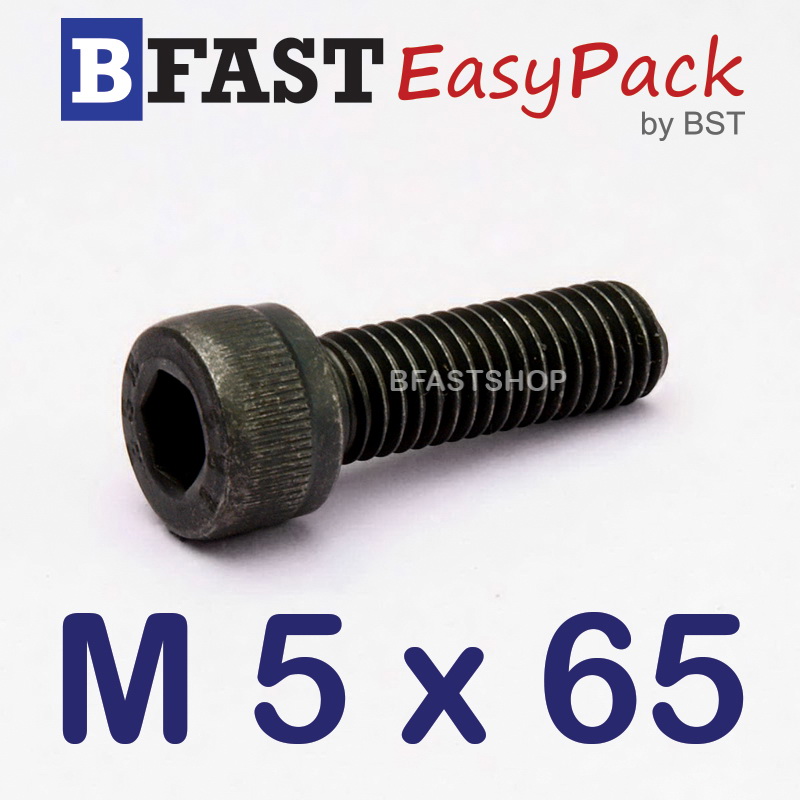 สกรูหัวจมดำ M 5 x 65 (5 ตัว/ถุง) *เกลียวครึ่ง*