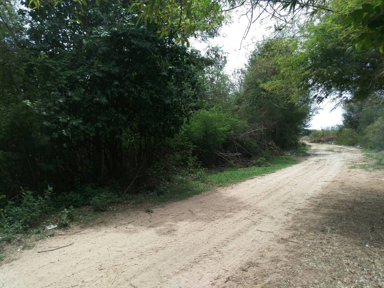 ห้เช่าที่ดินหลังศาลจังหวัดหัวหิน เนื้อที่ประมาณ 10 ไร่ สามารถแบ่งเช่าได้