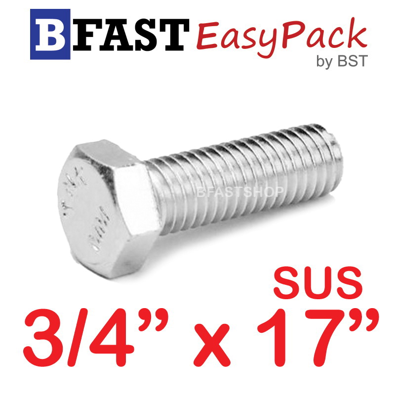 สกรูหัวเหลี่ยมสแตนเลส 3/4" x 17" (1 ตัว)