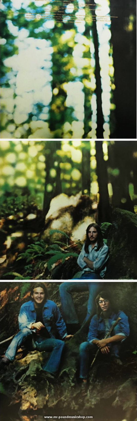 America - Homecoming