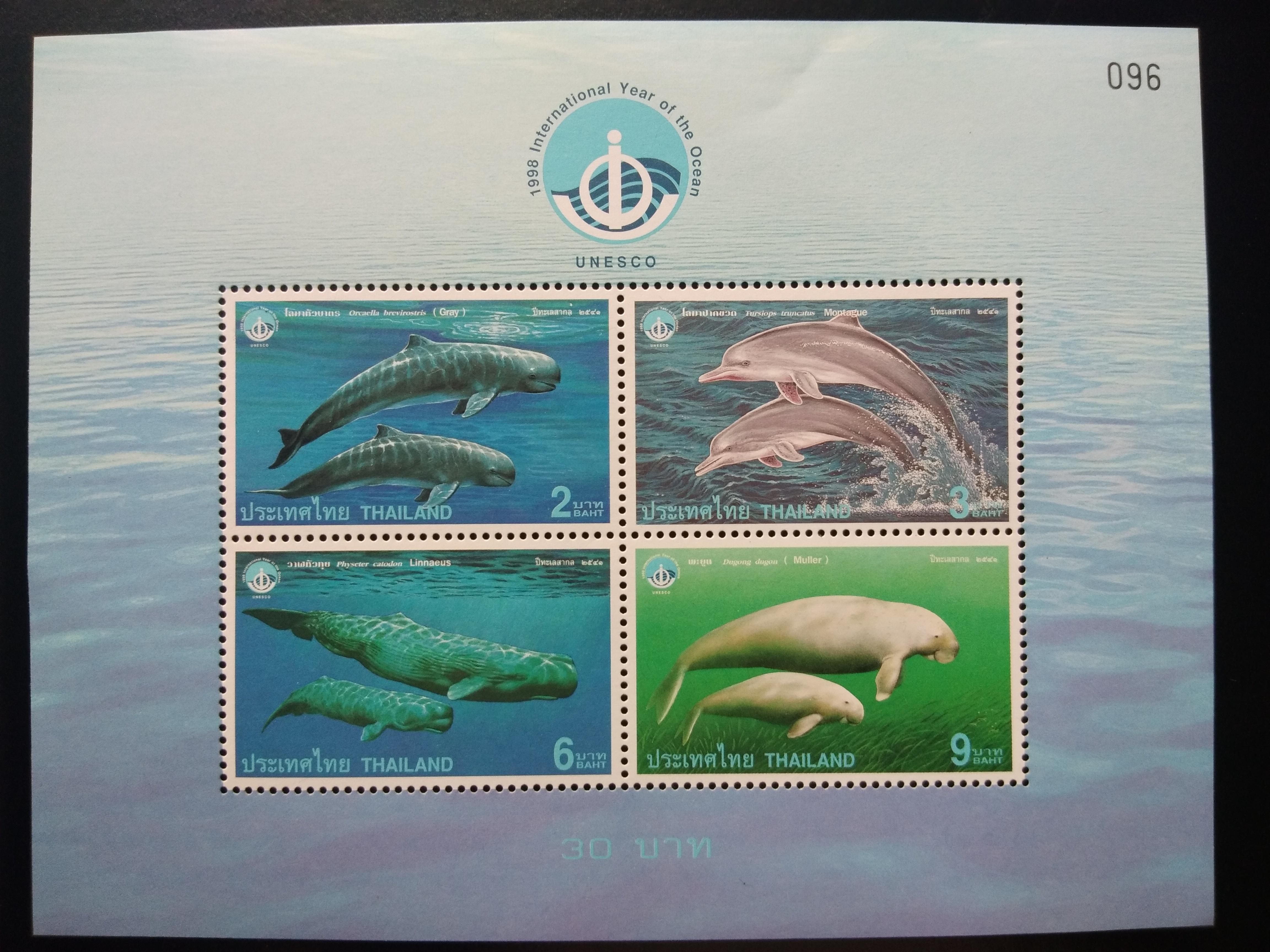 ชีทชุดปีทะเลสากล ปี 2541