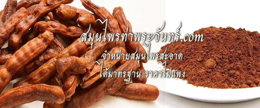 สมุนไพรเนื้อมะขาม