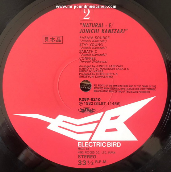 Junichi Kanezaki (兼崎順) - Natural-E