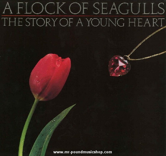 A Flock of Seagulls - The Story of A Young Heart