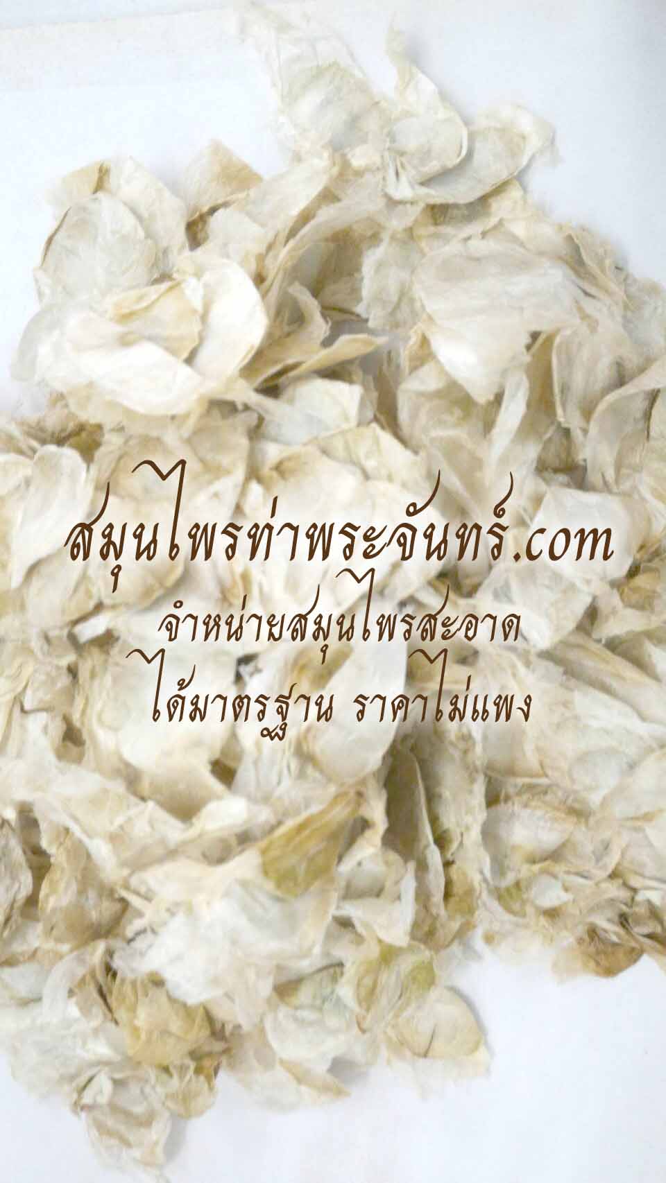 สมุนไพรฝักเพกา