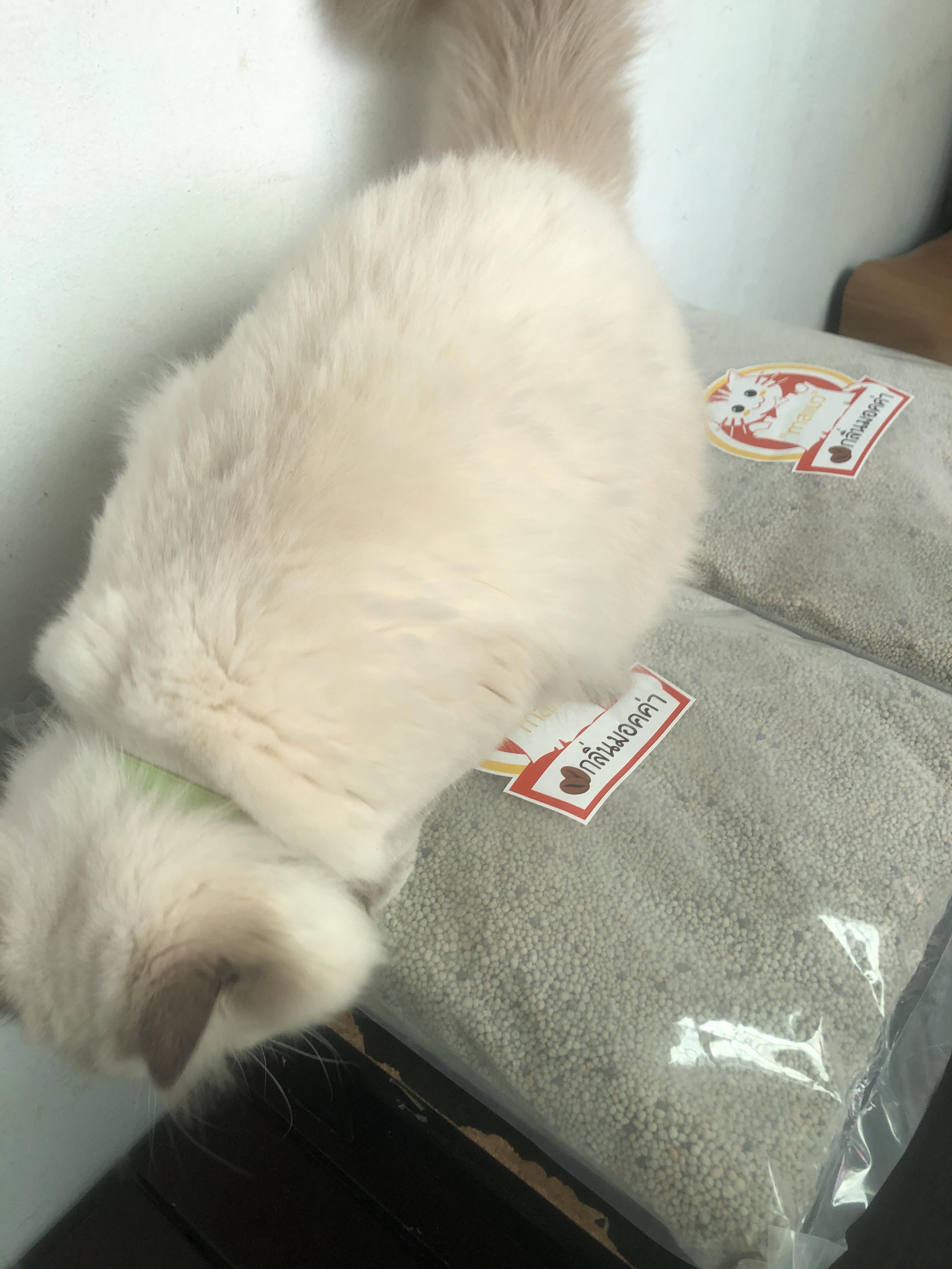 ทรายแมว เบนโทไนท์ ทาสแมว กลิ่นมอคค่า 2 ถุง16kg.